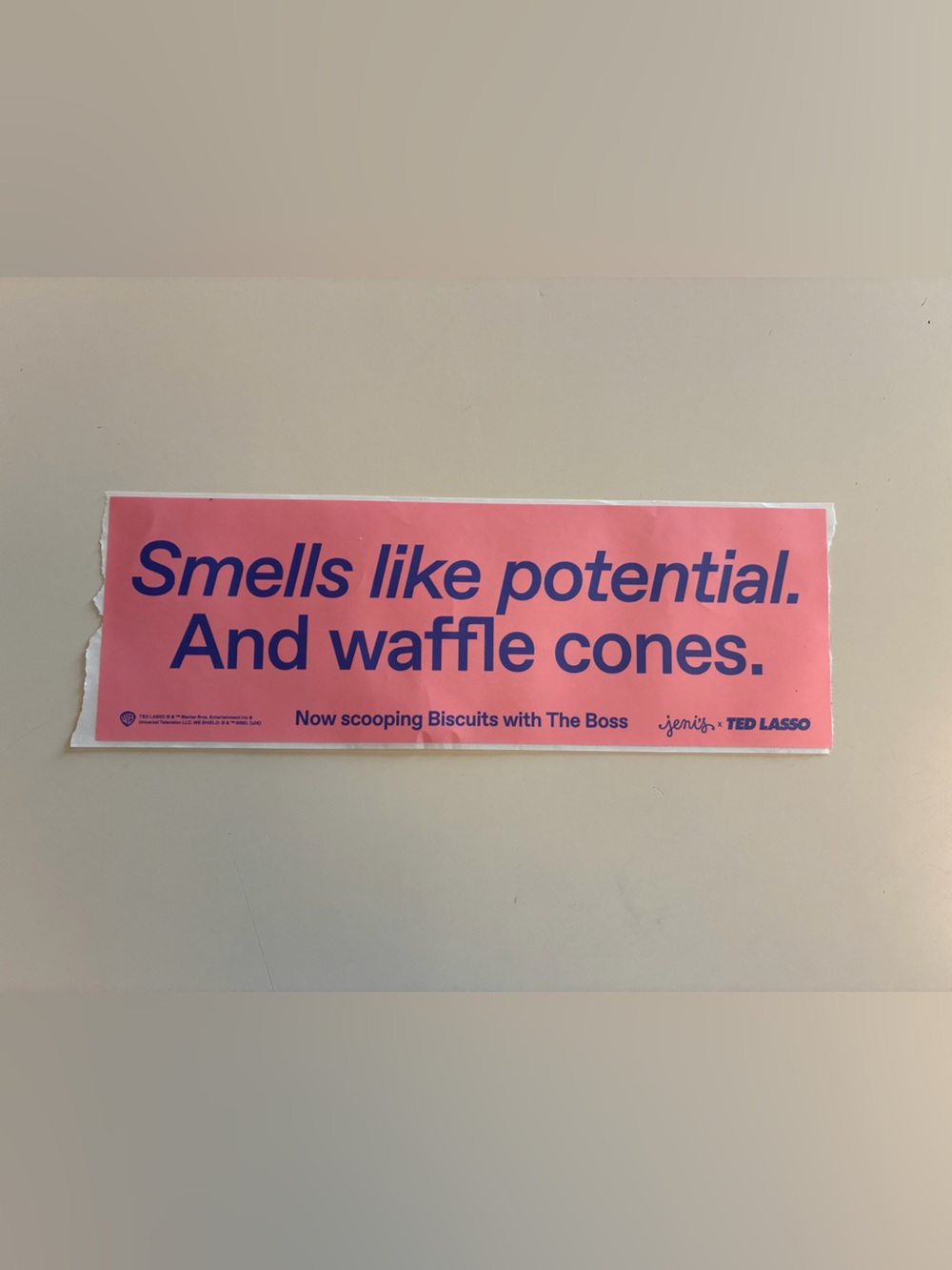 Jeni’s Splendid Ice Cream - Ted Lasso Smells Like Potential Pink Bumper Sticker